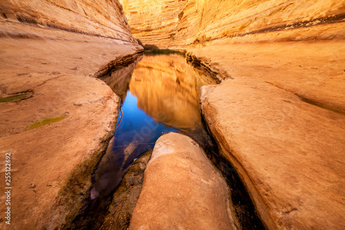 beautiful landscape view in the desert, E'in Ovdat nature reserve, Israel photo