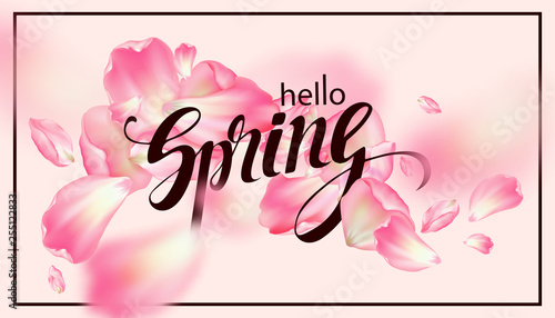 Hello Spring. Sakura's petals are spinning in the air. A spring background with cherry blossoms. Vector illustration. 