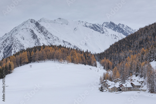 Snowy peaks and spruce around the village of Petosan, La Thuile, Aosta Valley, Italy photo