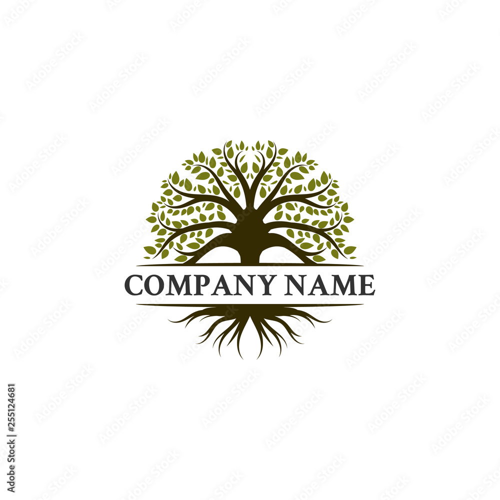 Obraz premium trees logo designs, oak trees , olives trees