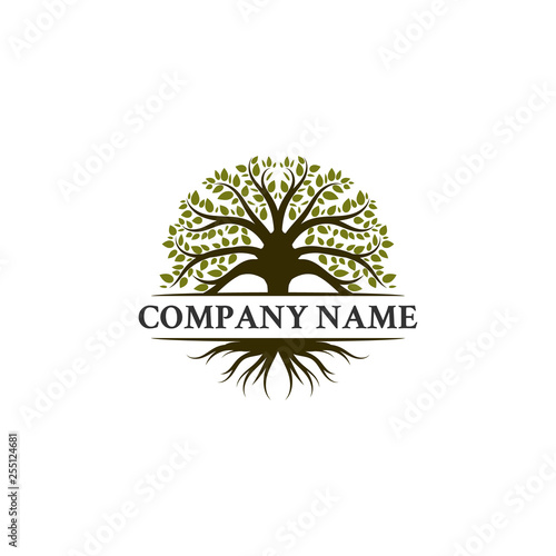 trees logo designs, oak trees , olives trees