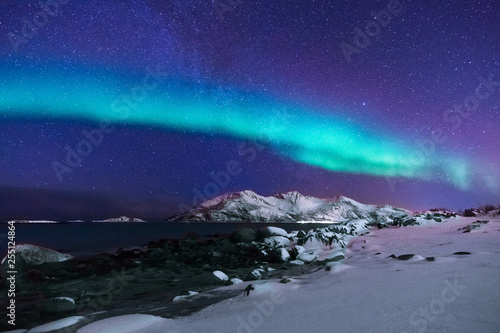 bunte Nordlichter im Norden, Norwegen  © luili