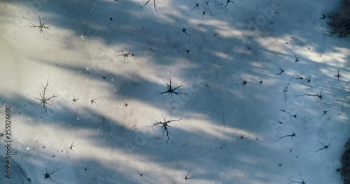 Birds eye view of frozen lake