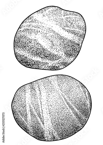 Rock, pebble illustration, drawing, engraving, ink, line art, vector