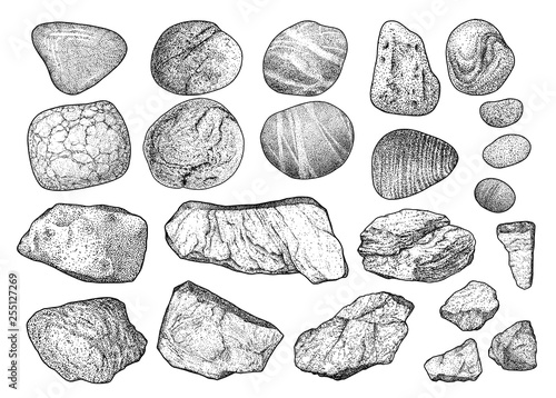 Rock, pebble illustration, drawing, engraving, ink, line art, vector