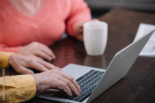 cropped view of senior couple in colorful clothes sitting at table and using laptop