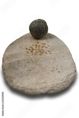 Neolithic simple mill stone with wheat grains