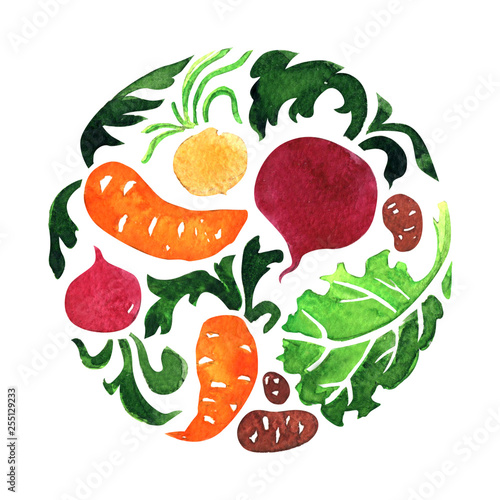 Set of vegetables in circle  carrot  beet  potato  salad leaf. Organic food  banner  logo  label design template  healthy vegetarian food concept  round shape icon. Hand drawn watercolor illustration