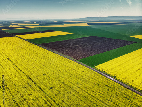 Aerial View of Oilseed Rape Field ready for harvester