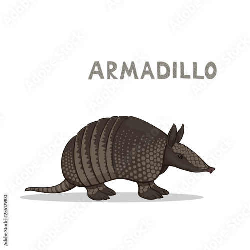 Vector illustration, a cartoon armadillo, isolated on a white background. Animal alphabet.