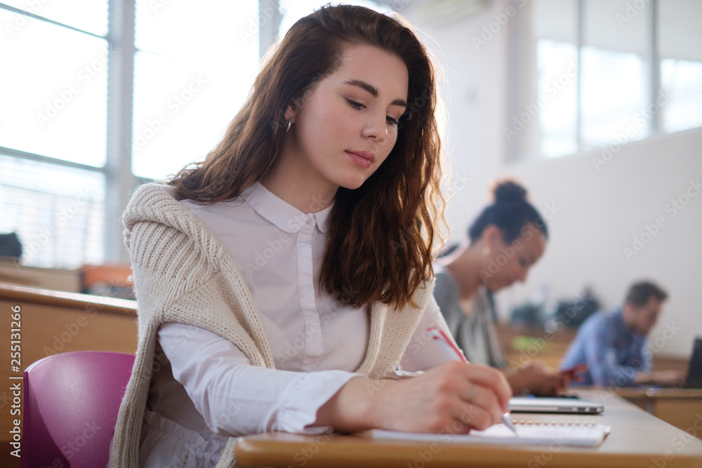 Beautiful girl taking notes in multinational group of students in an auditorium Beautiful girl taking notes in multinational group of students in an auditorium