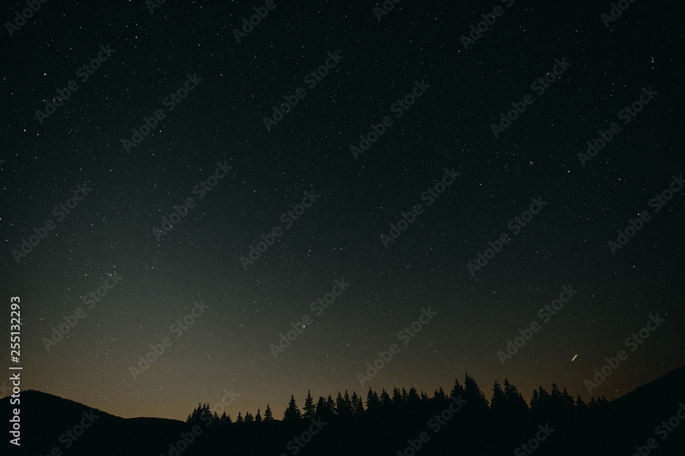 Starry forest background up in the mountains