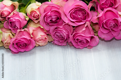 Bunch of beautiful pink roses on light background.