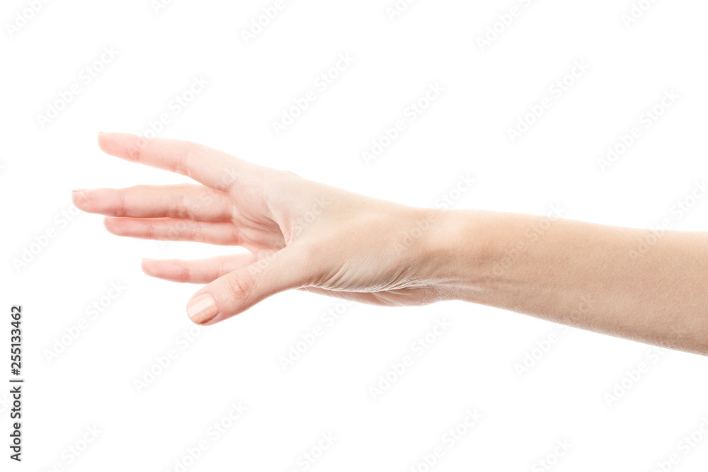 Female hand isolated on white background. White woman's hand showing symbols and gestures. Palm Female hand isolated on white background. White woman's hand showing symbols and gestures. Palm