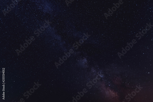 Starry forest background up in the mountains