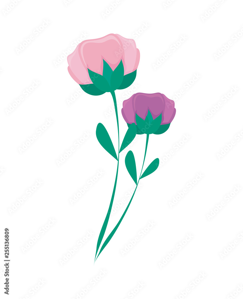 beautiful flowers nature icon