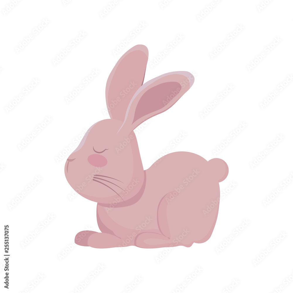 cute rabbit animal character cute rabbit animal character