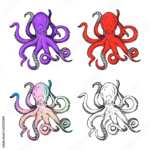 Octopus print in different hand drawn style. Vector illustration of sketch octopus.