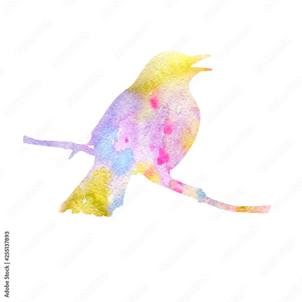 Fototapeta premium bird at tree branch