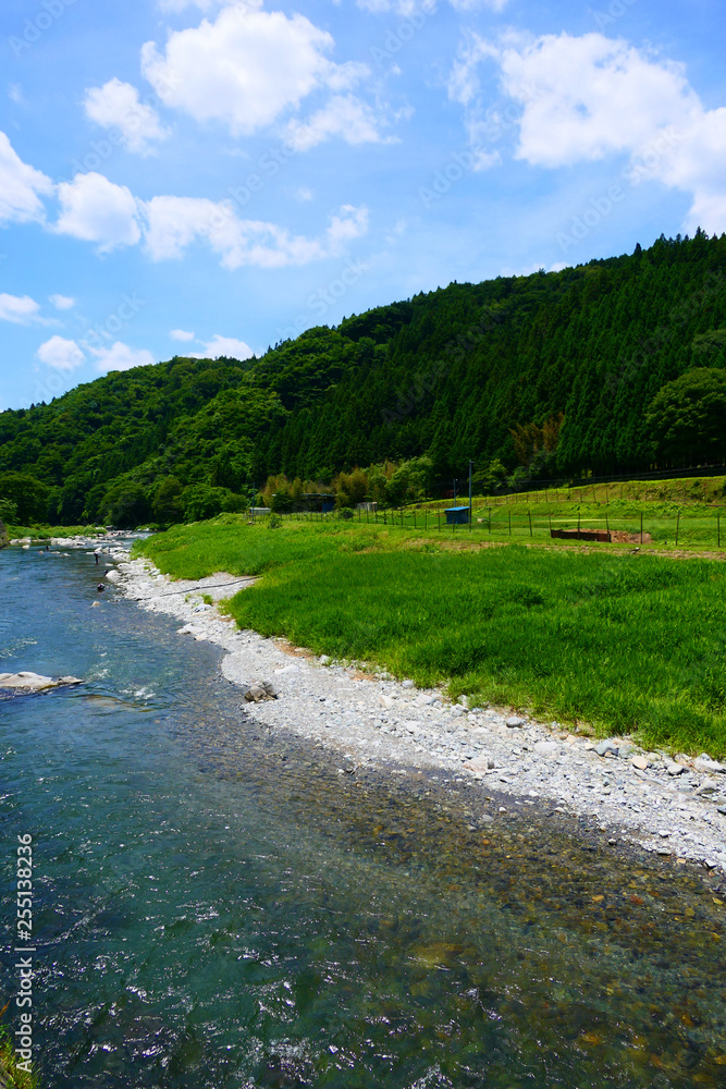山間地の清流、初夏の気仙川。陸前高田 岩手 日本。7月上旬。 山間地の清流、初夏の気仙川。陸前高田 岩手 日本。7月上旬。