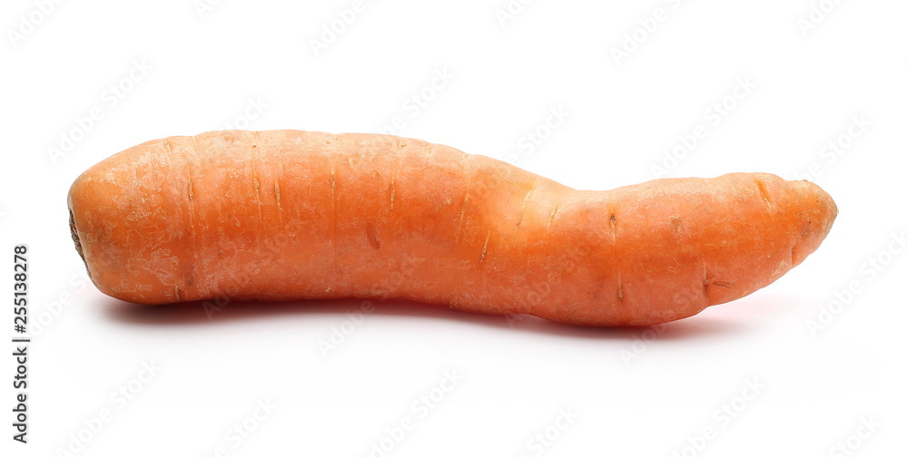 Carrot isolated on white background