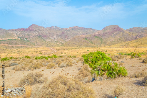 Desertic landscape in the Cabo de Gata Natural Park, Spain