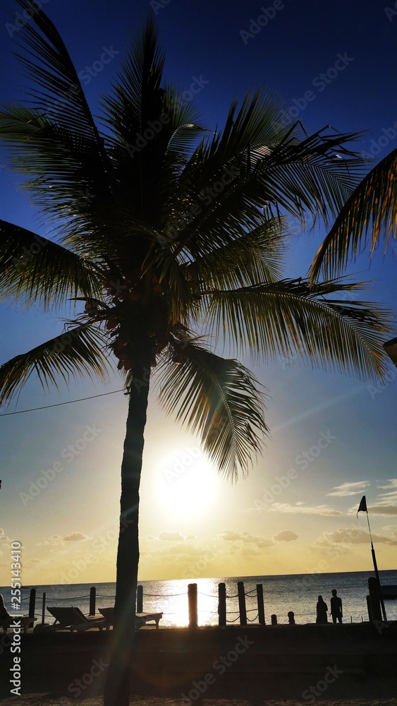 Obraz premium sunset on the beach