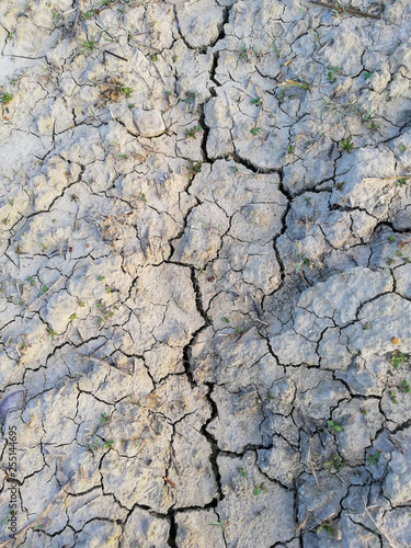 dry soil in spring 