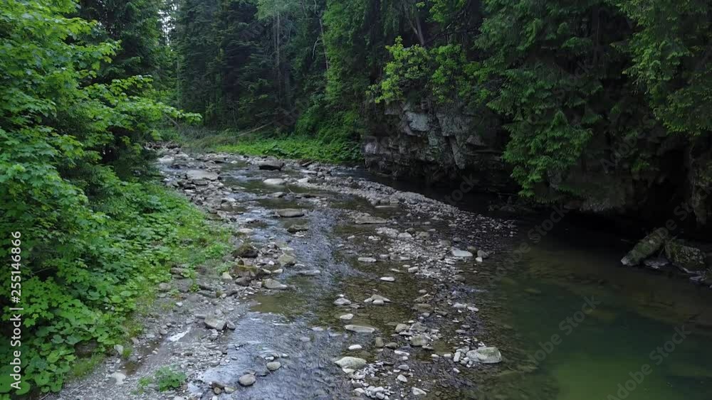 Incredible and stormy Prut river. Location place Carpathian mountains, Jaremcze resort, Ukraine, Europe. Scenic image of the exotic summer scene. Natural landscape view. Discover the beauty of earth. Incredible and stormy Prut river. Location place Carpathian mountains, Jaremcze resort, Ukraine, Europe. Scenic image of the exotic summer scene. Natural landscape view. Discover the beauty of earth.