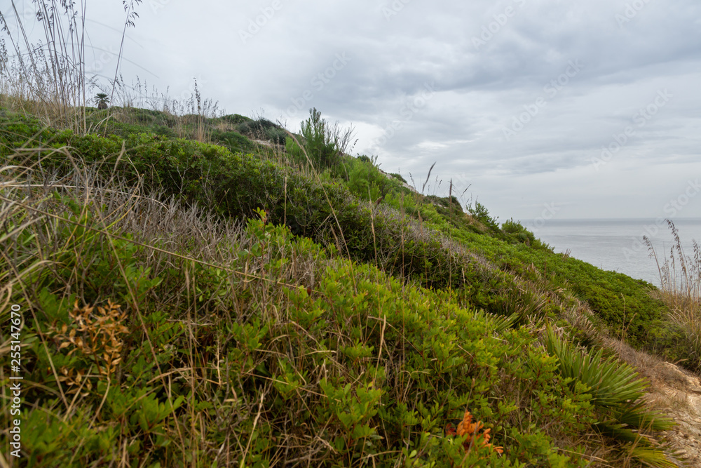 Wonderful dune landscape Cala Mesquida Mallorca Spain Wonderful dune landscape Cala Mesquida Mallorca Spain