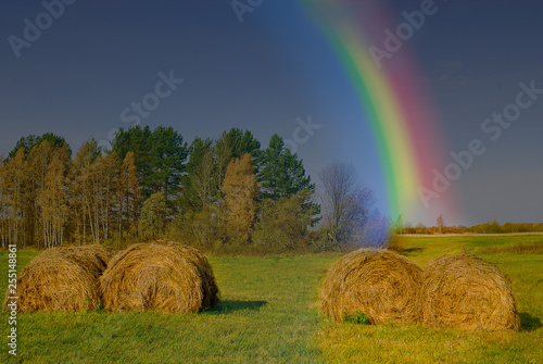 rainbow on the field