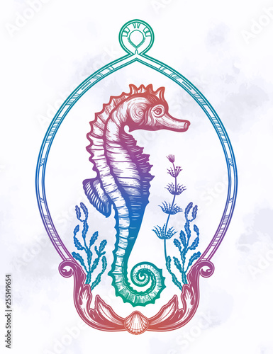 Hand drawn seahorse with sea plants. Vintage vector illustration.