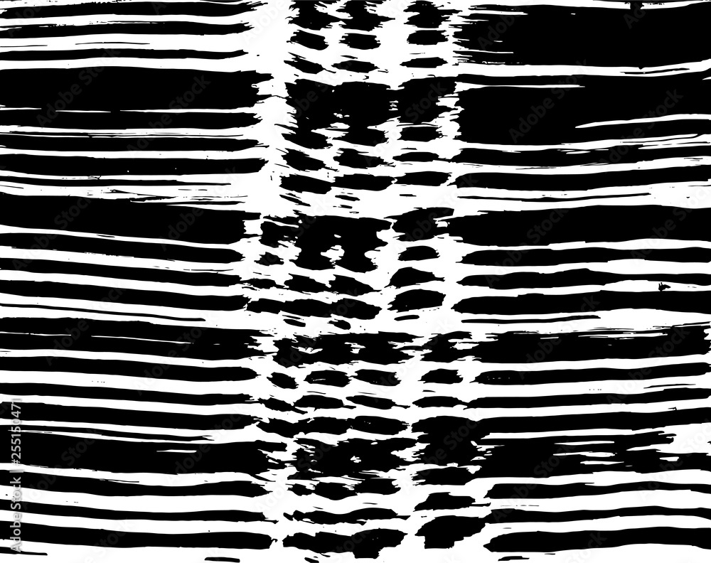 Brush grunge pattern. White and black vector. Brush grunge pattern. White and black vector.