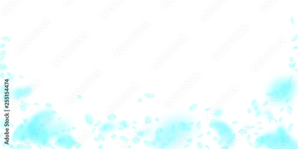 Turquoise flower petals falling down. Brilliant ro Turquoise flower petals falling down. Brilliant ro