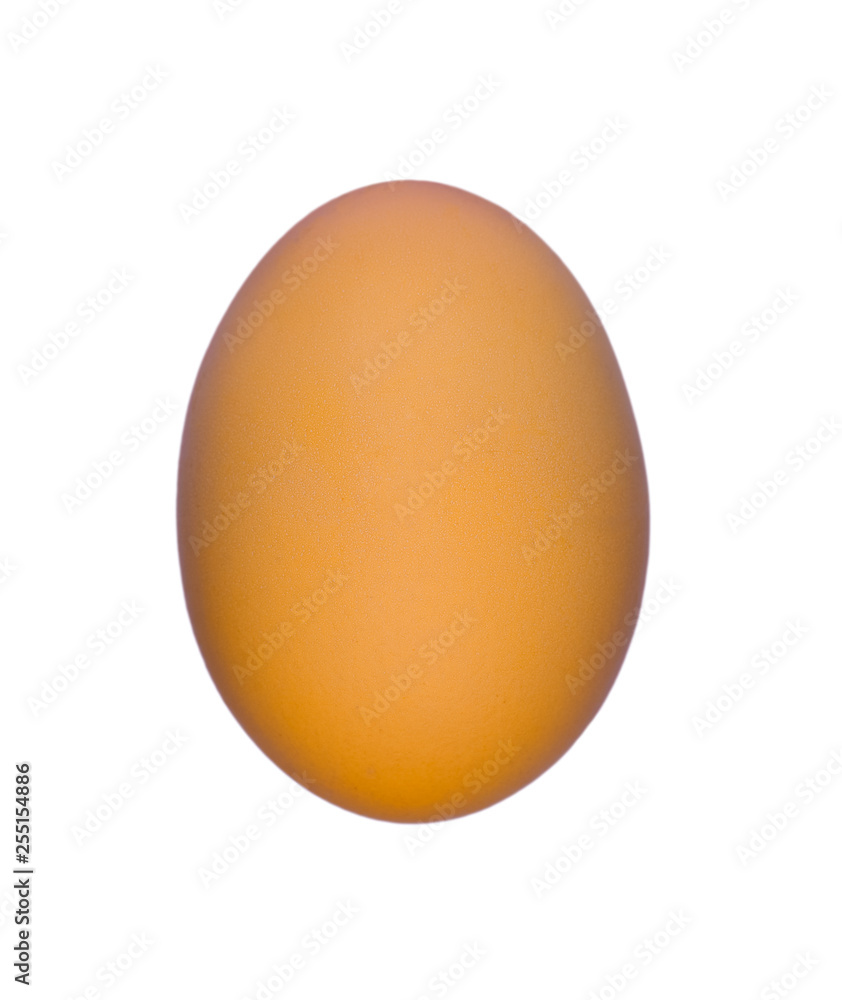 Orange Chicken Egg isolated on white background Orange Chicken Egg isolated on white background