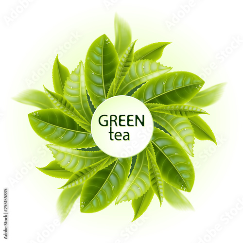 Tea leaves frame.