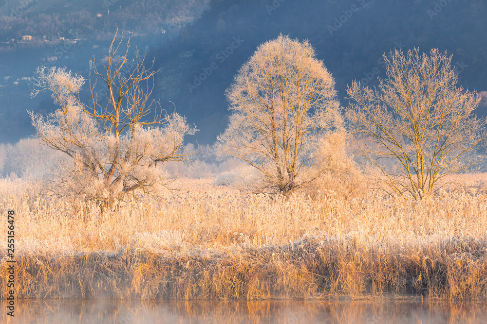 Sunrise on Adda river, Airuno, Brianza, Lecco province, Lombardy, Italy, Europe Sunrise on Adda river, Airuno, Brianza, Lecco province, Lombardy, Italy, Europe