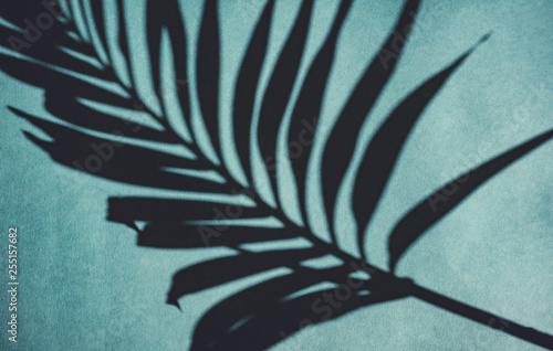 shadow of palm branch on blue watercolor background