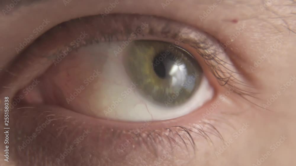 Macro closeup of a green human eye moving looking around Macro closeup of a green human eye moving looking around
