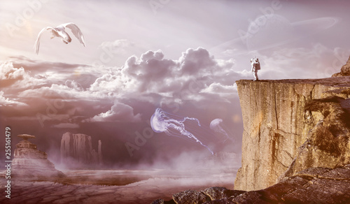 Fototapeta Naklejka Na Ścianę i Meble -  Astronaut beobachtet fremdartige Lebewesen