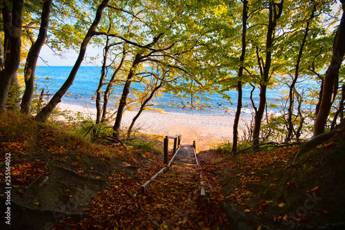 Wallpaper Mural Paradis Insel Rügen Torontodigital.ca