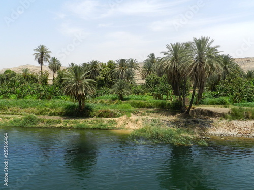 widok z rzeki Nil  Egipt