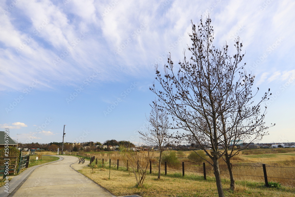 日本の小さな町の青い空と白い雲の風景