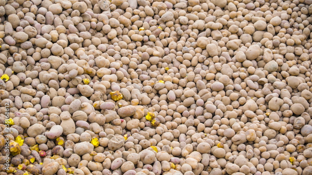 9414_Hundreds_and_thousands_of_potatoes_on_the_ground.jpg 9414_Hundreds_and_thousands_of_potatoes_on_the_ground.jpg