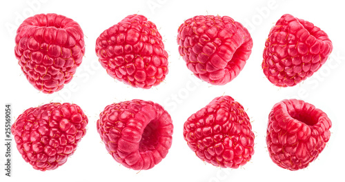 Fotomurale Raspberry isolated on white background. Collection