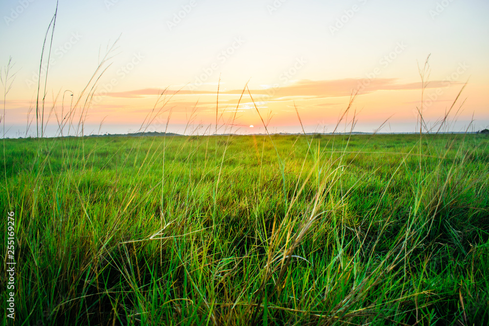 Amanecer llanero