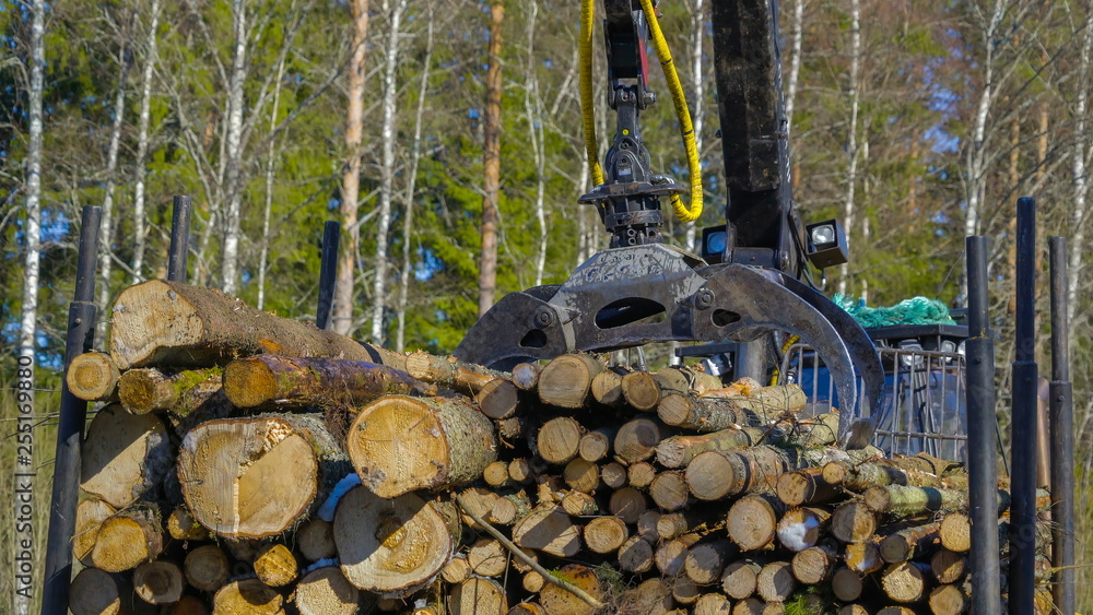 9624_Big_and_small_logs_on_the_back_of_the_truck.jpg 9624_Big_and_small_logs_on_the_back_of_the_truck.jpg