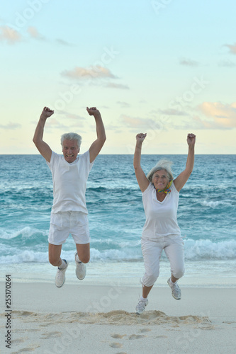 Portrait of senior couple exercising in summer