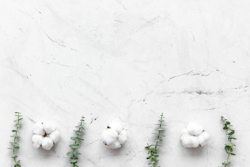 Flowers border with green eucalyptus branches and dry cotton on white stone background top view space for text.