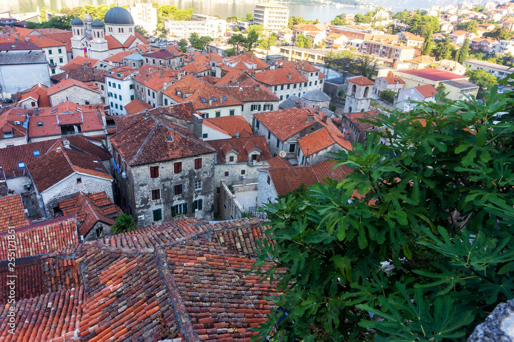 Tile roofs of old town of Kotor, Montenegro